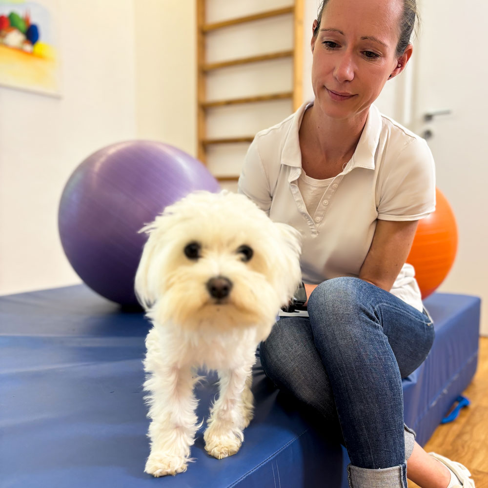 Ergotherapxie Mielke Team Praxis, Ergotherapie-Praxis, Ergo, Ergotherape Lintorf